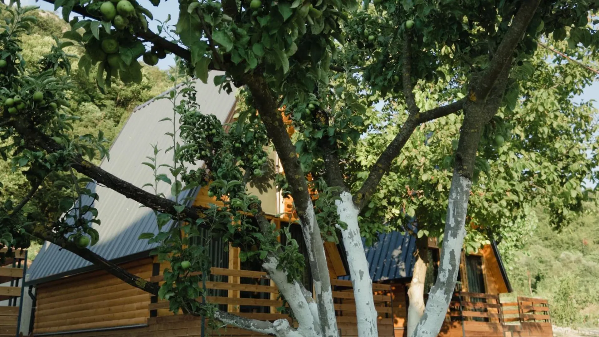 The Wooden Village - By Nemercka Përmet ألبانيا